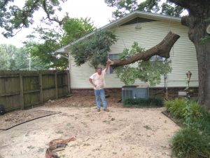 Regular Tree Service Van Buren AR