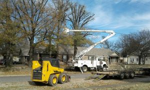 Tree Trimming Clarksville