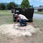 Stump Removal Greenwood AR