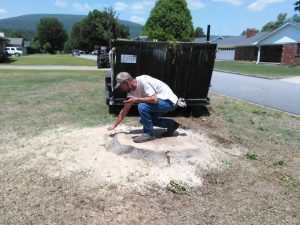 Stump Grinding Van Buren