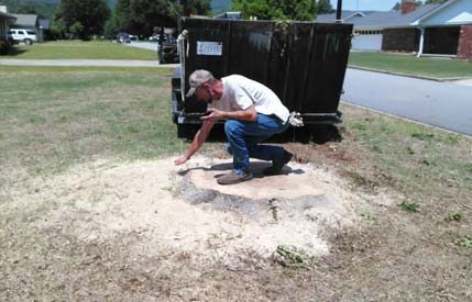 Stump Removal Booneville AR
