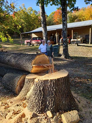 Tree Service Van Buren AR