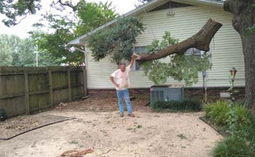 Tree Trimming Booneville AR